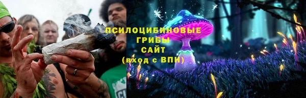 MDMA Premium VHQ Зеленодольск