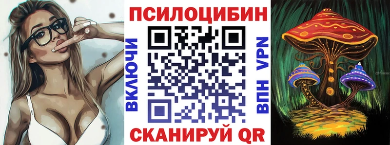 Купить  Гаврилов Посад  Псилоцибиновые грибы Cubensis 